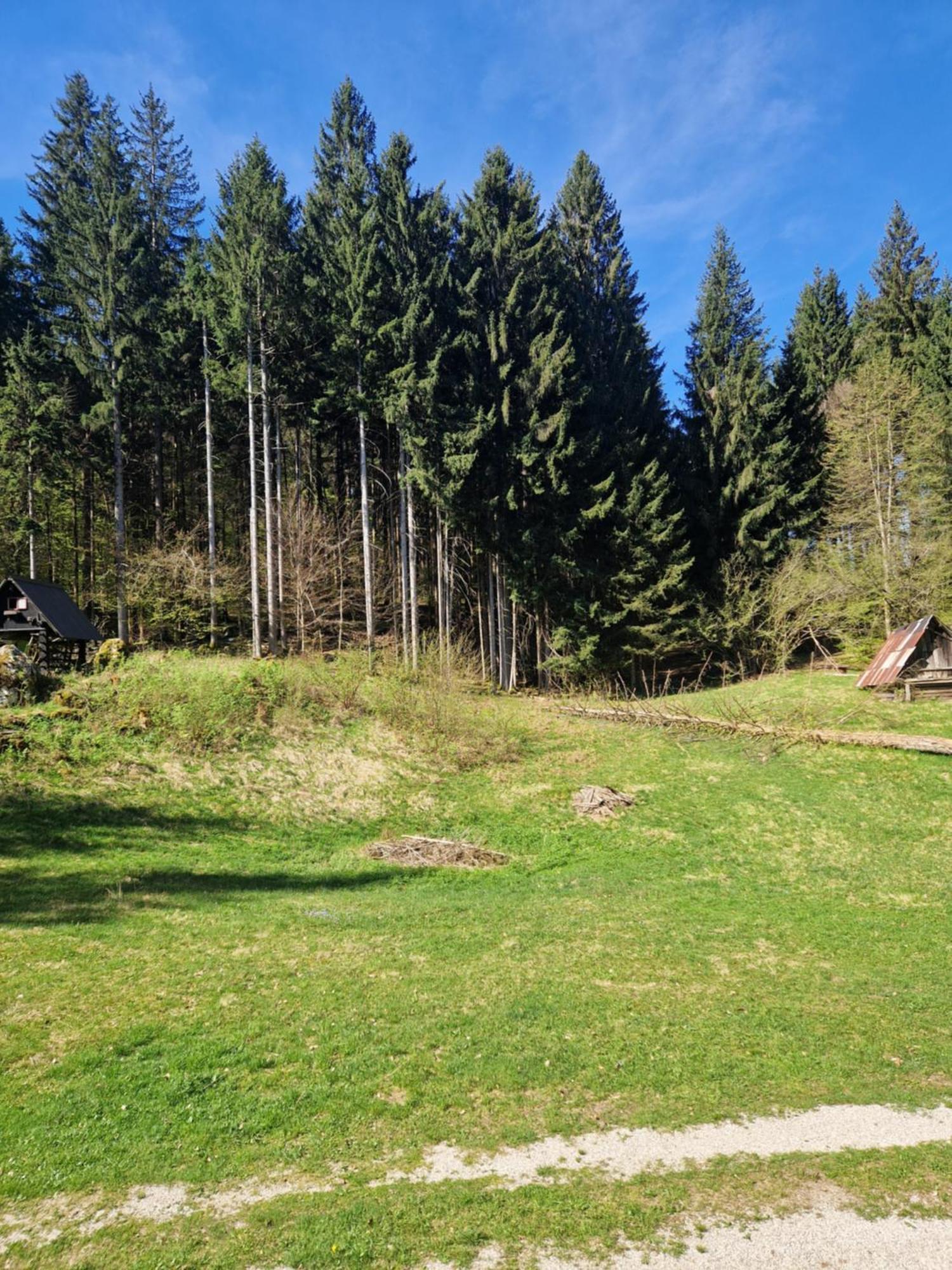 Koca V Gozdu, Forest House Near Блед Экстерьер фото