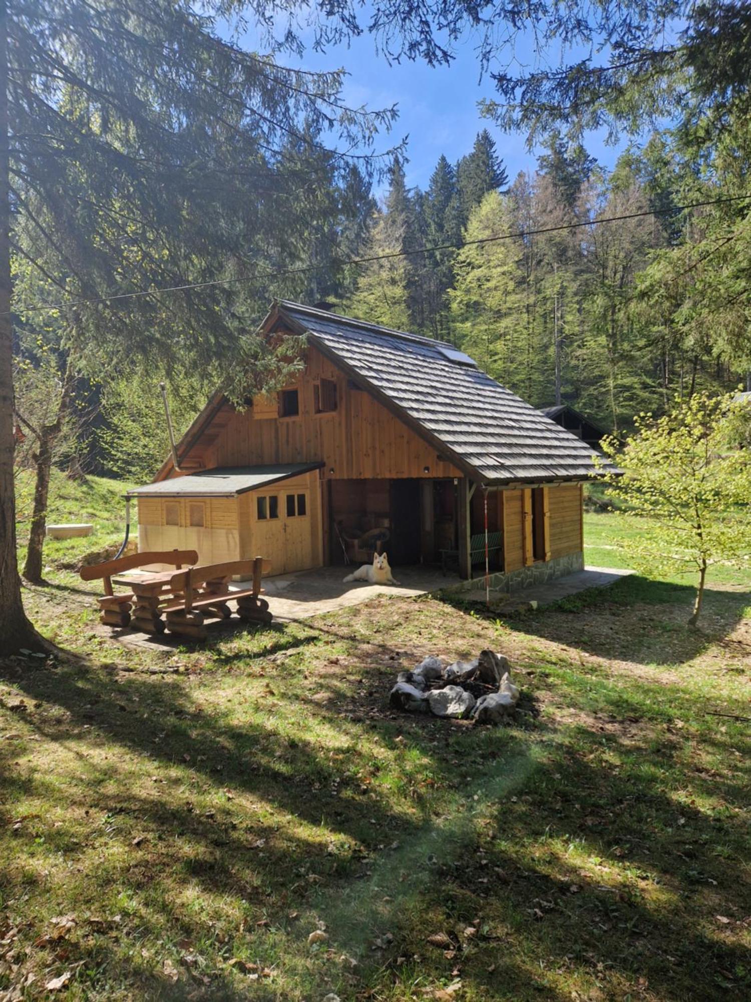 Koca V Gozdu, Forest House Near Блед Экстерьер фото