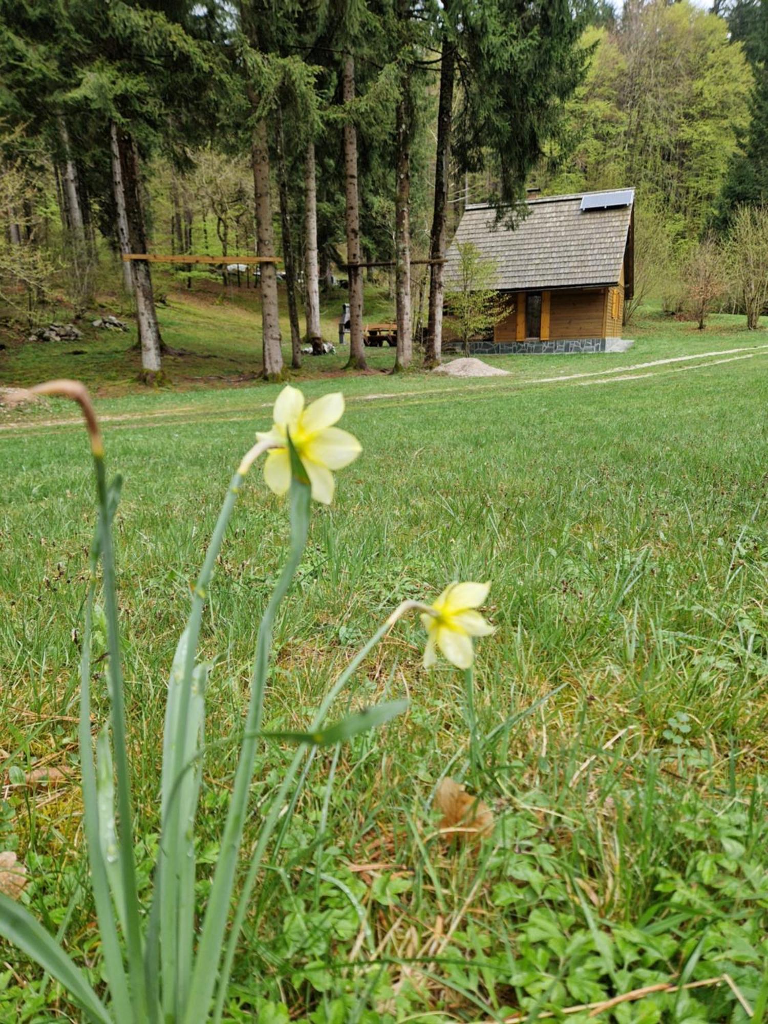 Koca V Gozdu, Forest House Near Блед Номер фото